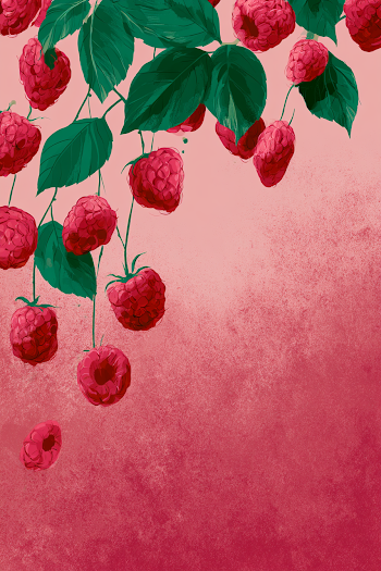 Artistic Raspberry Halves with Green Leaves