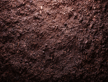Close-Up Macro Texture of Dark Brown Garden Soil and Compost