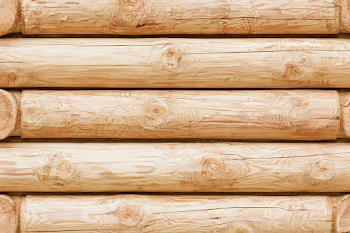 Close-Up of Rustic Log Cabin Wall