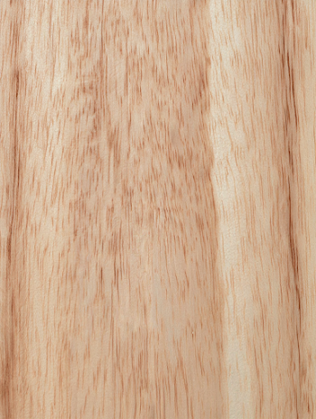 Close-Up View of Light Natural Wood Plank Surface