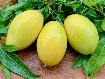 Fresh Yellow-Green Mangoes on Wooden Surface