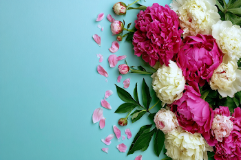 Lush Peony Floral Arrangement on Aqua Background