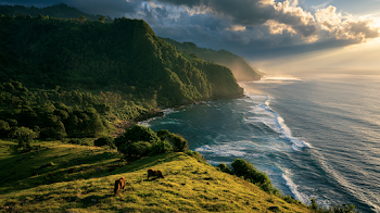 Lush Tropical Coastline at Golden Hour, Lombok Indonesia