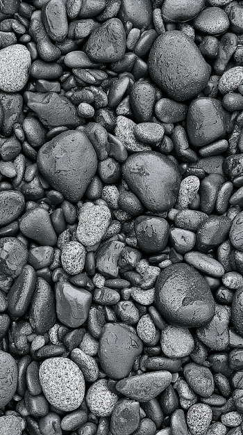 Macro Photograph of Wet River Pebbles