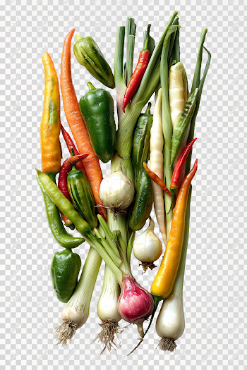 PNG Colorful Assortment of Fresh Vegetables