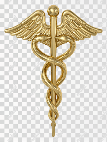 PNG Golden Medical Caduceus Emblem