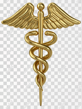 PNG Isolated Golden Medical Caduceus Emblem