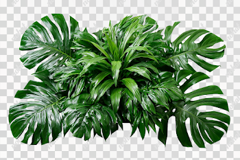 PNG Lush Tropical Foliage Arrangement