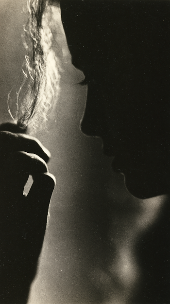 Silhouette of a Hand Holding Hair in Black and White