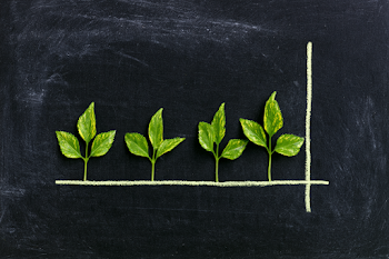 Stages of Plant Growth on Chalkboard