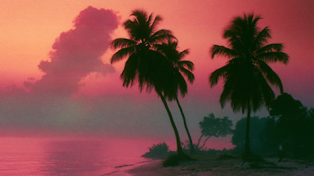 Tropical Sunset in Jamaica