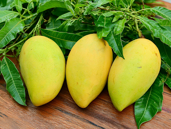 Vibrant Yellow-Green Mangoes on Wooden Surface