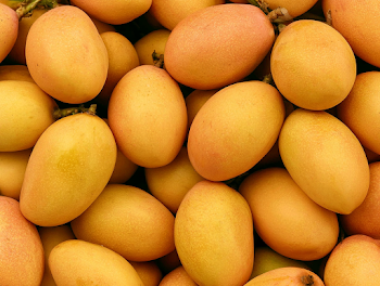 Vibrant Yellow-Orange Mangoes in Abundance