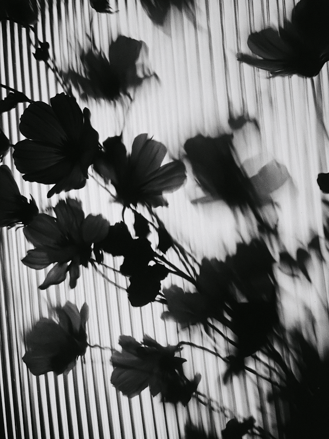 Abstract Floral Silhouette in Motion