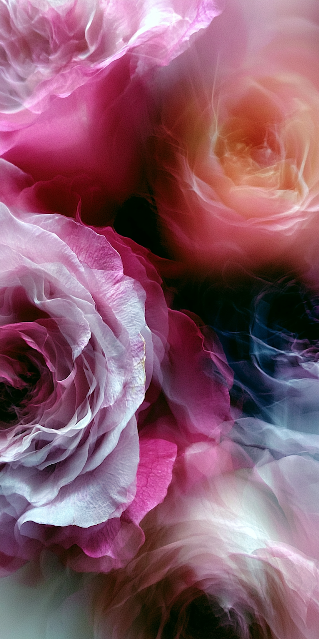 Abstract Roses in Soft Hues