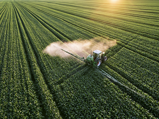 Aerial Drone View of Tractor Spraying Crops in Golden Hour