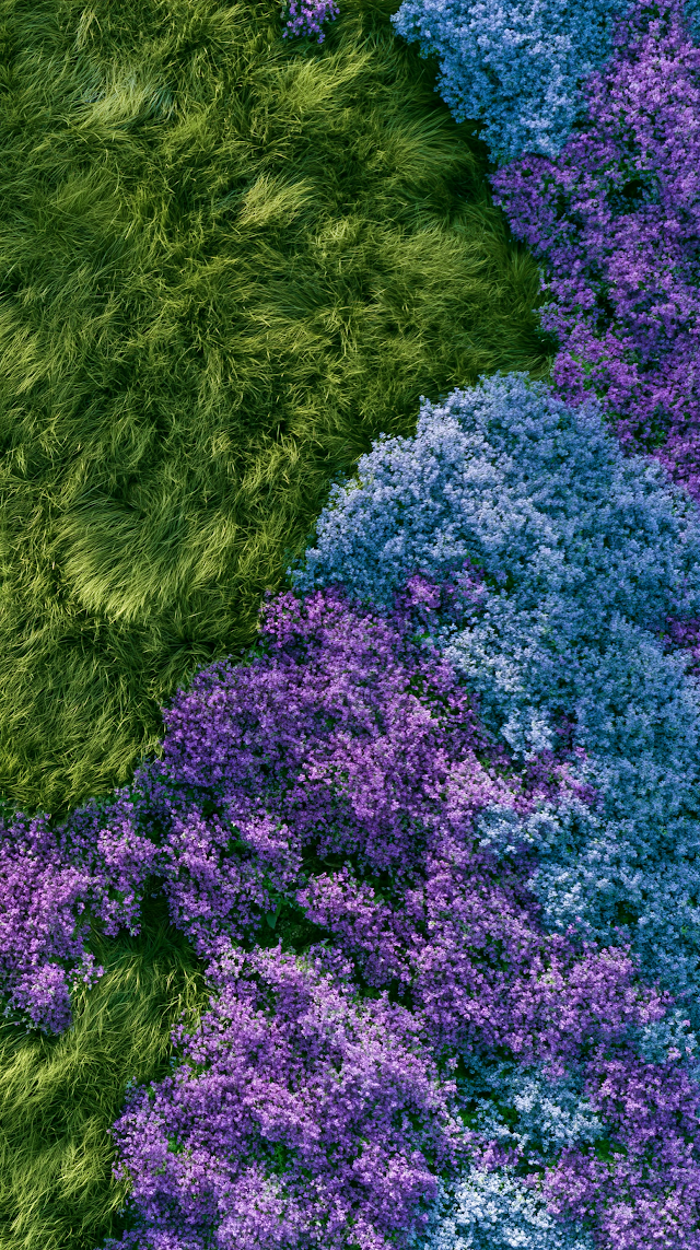 Aerial View of Vibrant Grass and Flowers