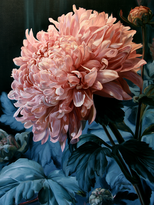 Blooming Chrysanthemum in Soft Pastels