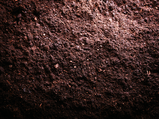 Close-Up Macro of Dark Brown Garden Soil and Compost Texture