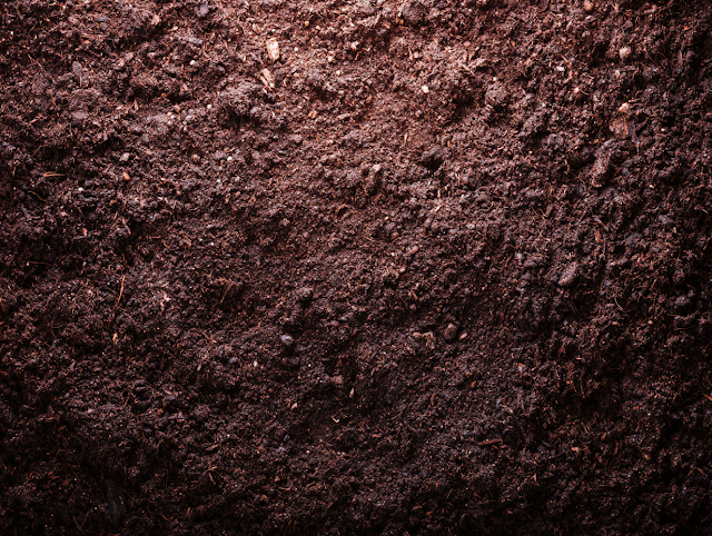 Close-Up Macro Texture of Dark Brown Garden Soil and Compost