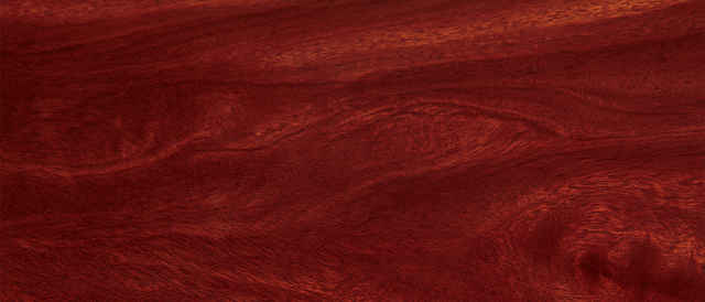 Close-Up of Polished Mahogany Wood Grain