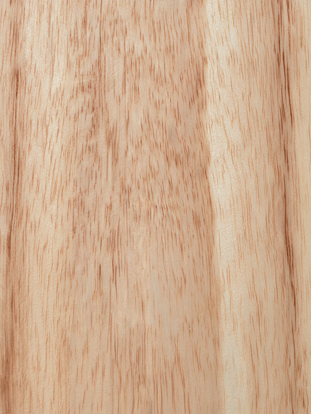 Close-Up View of Light Natural Wood Plank Surface