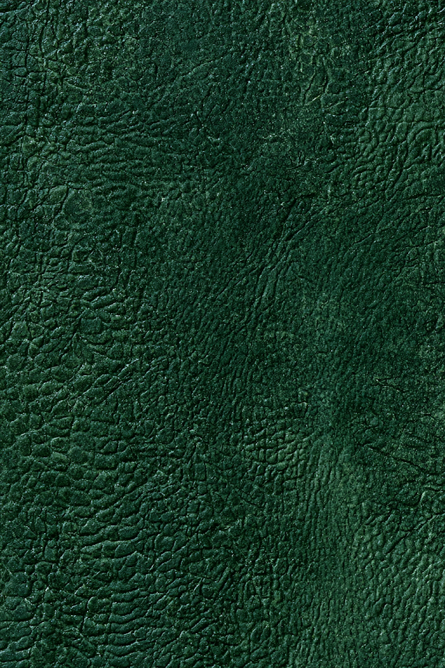 Dark Forest Green Dragon Hide Leather Texture