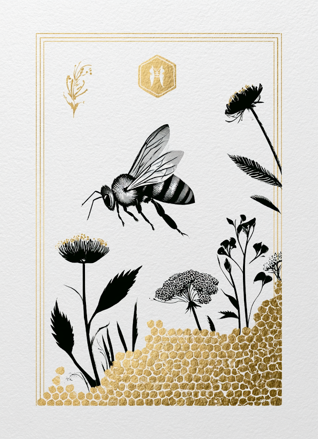 Elegant Honey Bee and Honeycomb Illustration