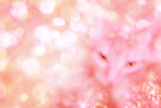 Ethereal Pastel Pink Bokeh Background