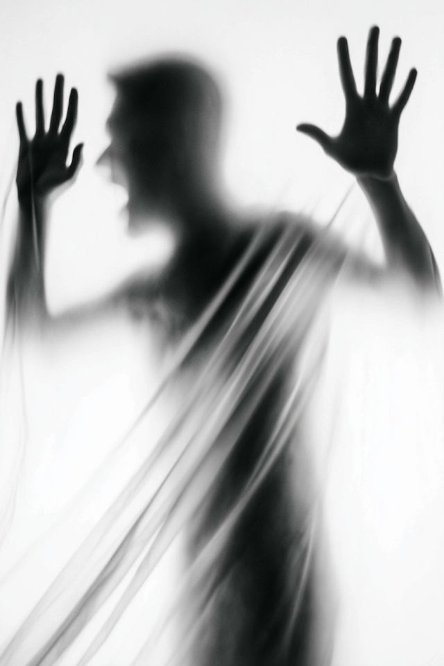 Ethereal Silhouette Behind Translucent Veil
