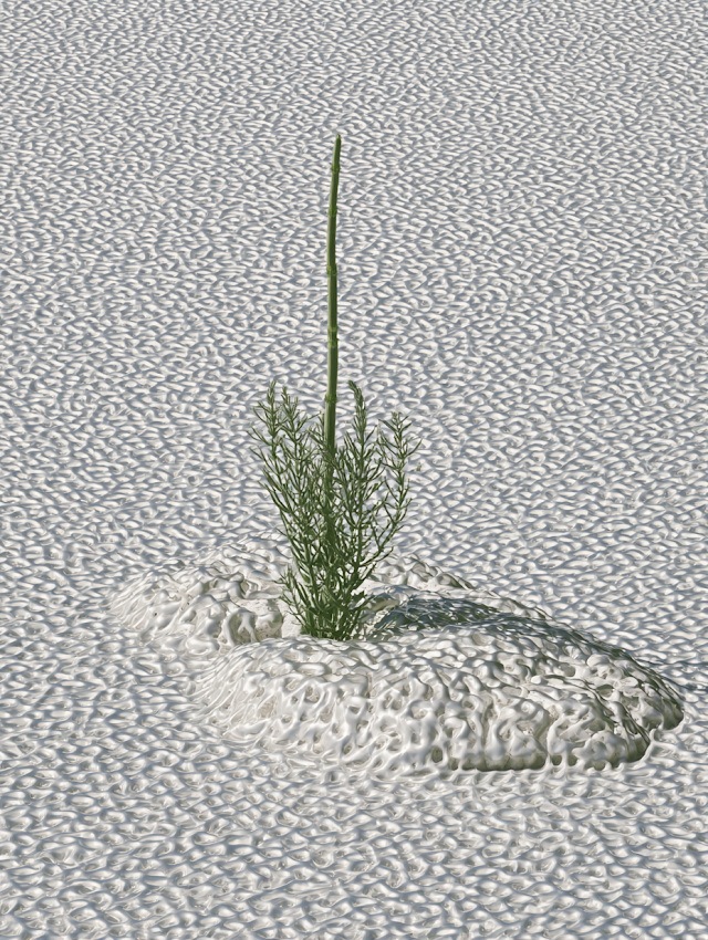 Futuristic Green Sweet Flag Emerging from Silver Rockery