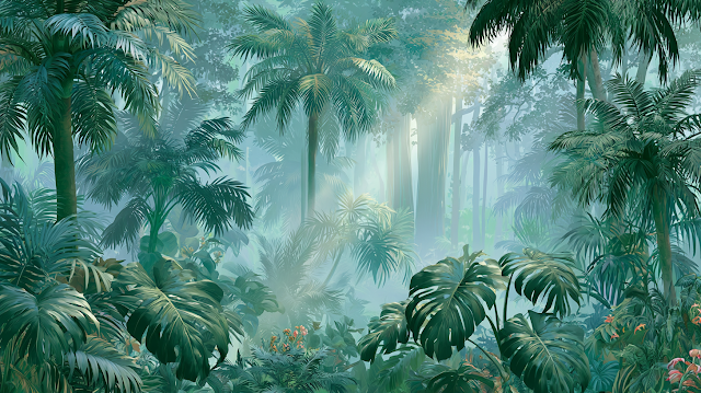 Lush Tropical Forest Landscape
