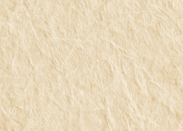 Luxury Handmade Japanese Washi Paper Texture