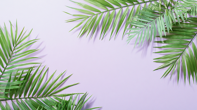 Minimal Tropical Botanical Flat Lay
