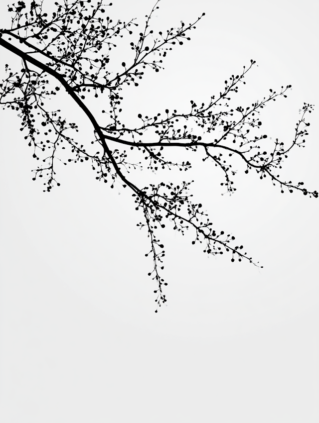 Minimalist Black Ink Cherry Blossom Silhouette