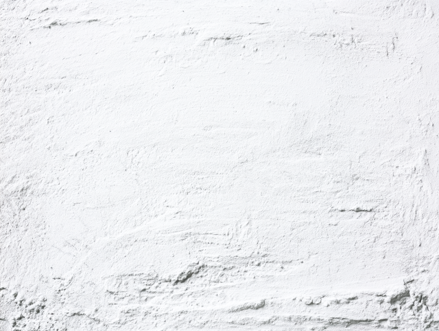 Minimalist White Plaster Wall Texture