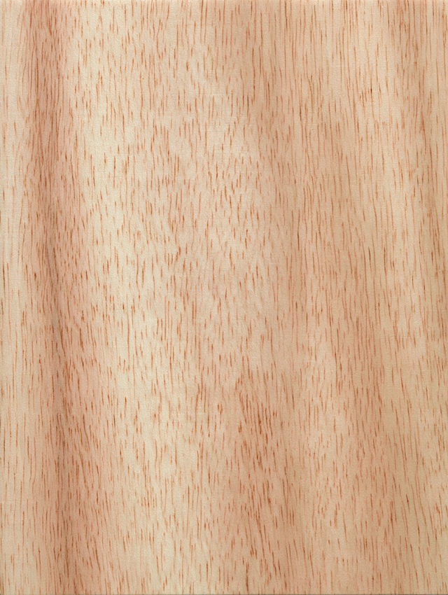 Natural Light Wood Plank with Fine Grain Detail