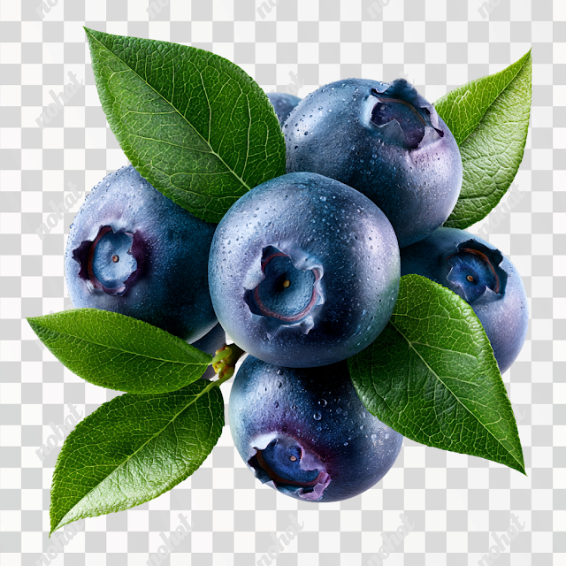 PNG Fresh Wild Blueberries Cluster on White Background