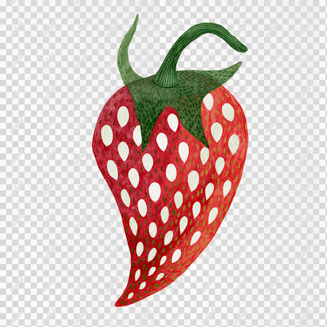 PNG Whimsical Strawberry Illustration