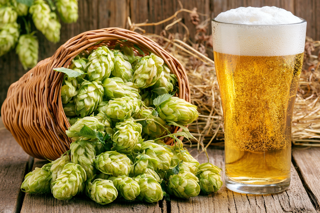 Rustic Still Life with Fresh Hops and Golden Beer