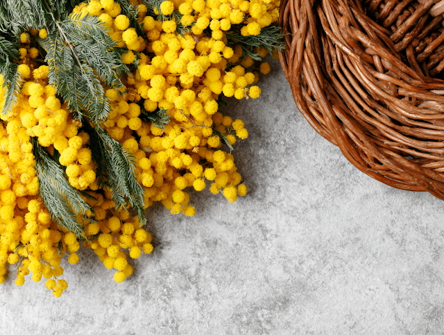 Rustic Wicker Basket with Fresh Mimosa Flowers