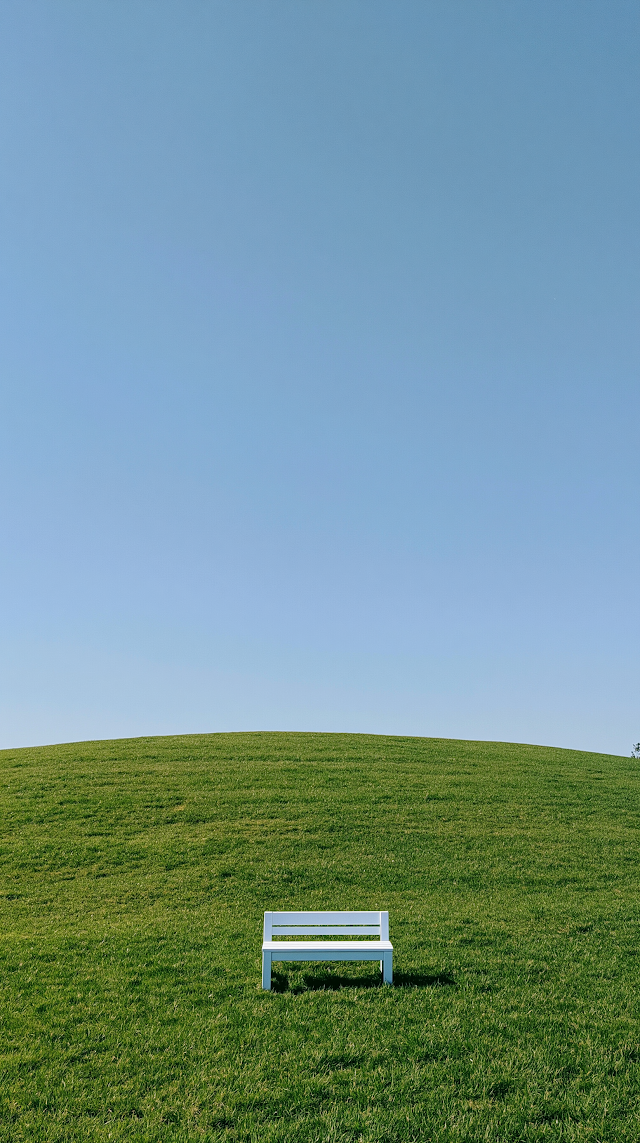 Serene Green Meadow with Minimalist Bench Under Clear Sky