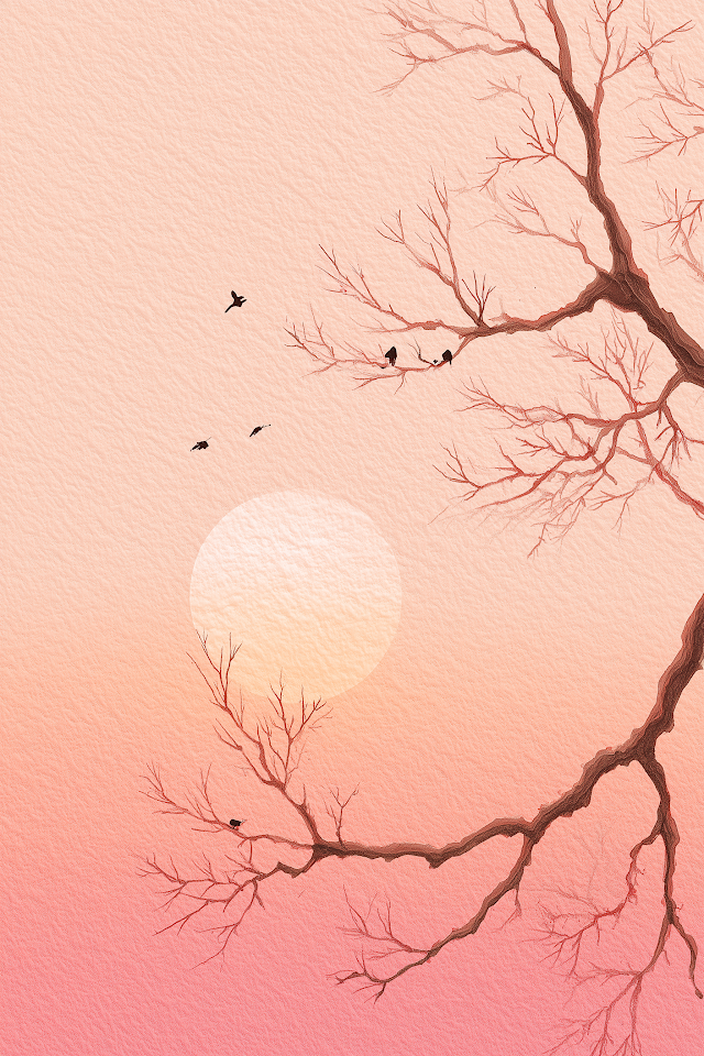 Serene Sunset Sky with Delicate Branches