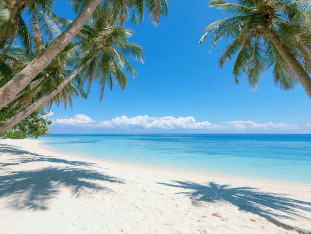 Serene Tropical Beach Paradise