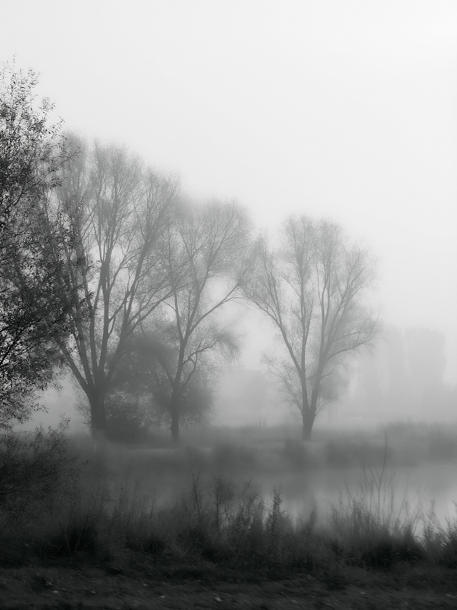 Tranquil Black and White Atmospheric Landscape
