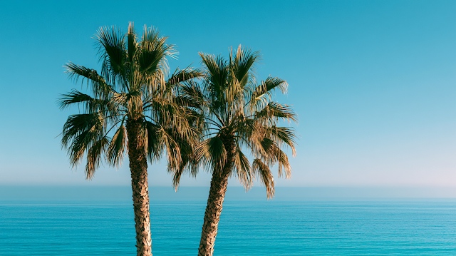 Tropical Beach Serenity with Palm Trees