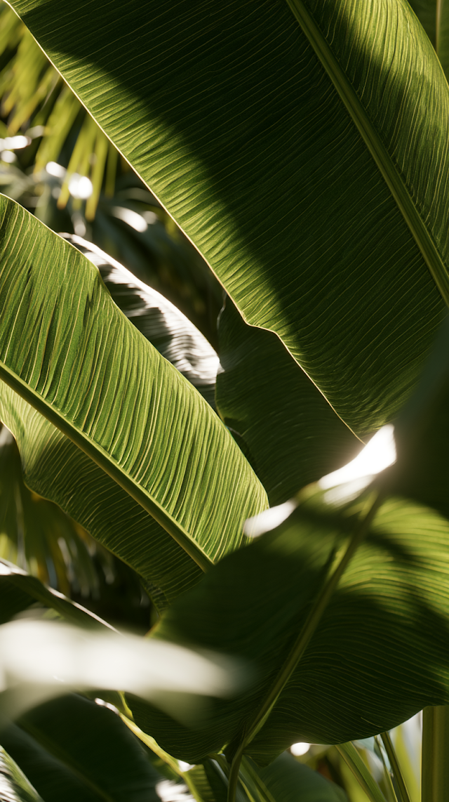 Tropical Leaves in Breeze