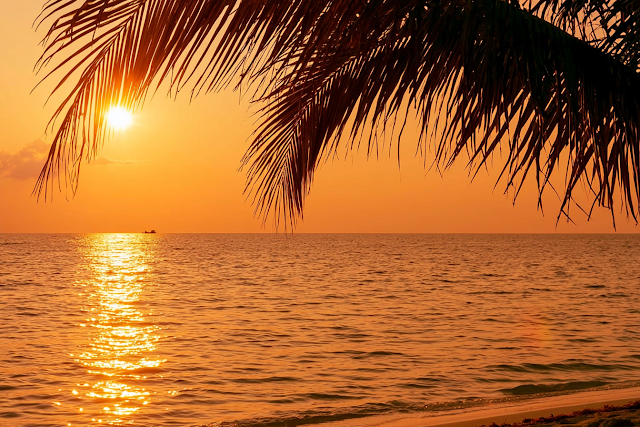 Tropical Ocean Sunset with Palm Fronds