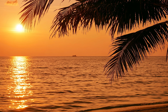 Tropical Ocean Sunset with Palm Fronds