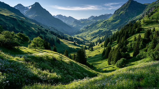 Vibrant Summer Valley in the Swiss Alps